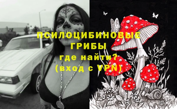 дмт Баксан